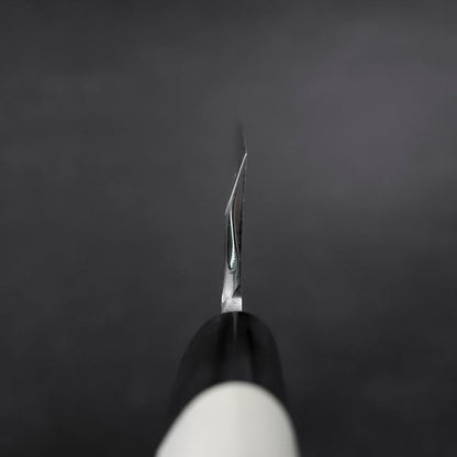 Aideba White Steel #2 Kasumi Buffalo Magnolia Handle 210mm