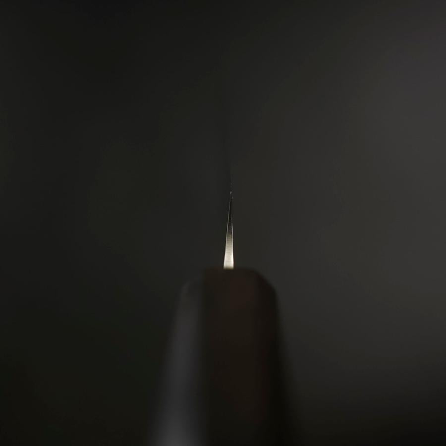 Bread knife VG-10 Tsuchime Ebony Handle 210mm