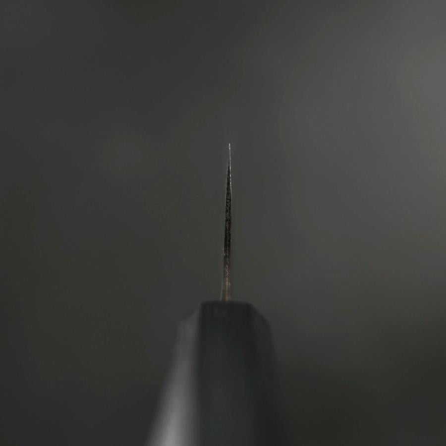 Bunka Blue Steel #2 Kurouchi Dark Blue Urushi Handle 190mm