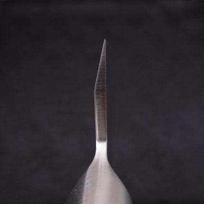 Deba All-Stainless Pure-Molybdenum 210mm