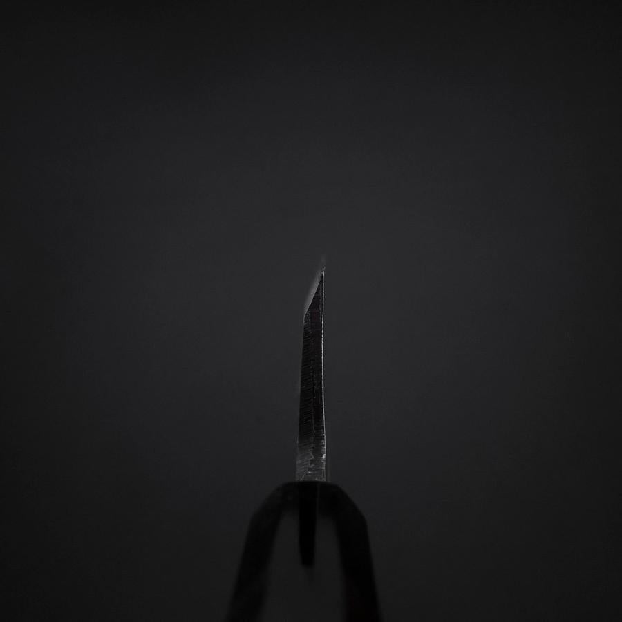 Deba Blue Steel #2 Kurouchi Chokin Dragon Buffalo Ebony Handle 150mm