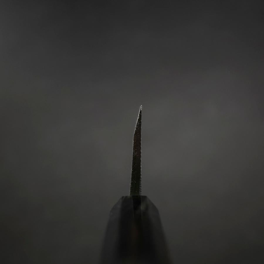 Deba Blue Steel #2 Suminagashi Buffalo Ebony Handle 150mm