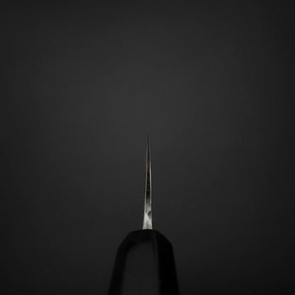 Gyuto Blue Steel #2 Kurouchi Stainless Clad Chokin Sakura-Fuji Buffalo Ebony Handle 210mm