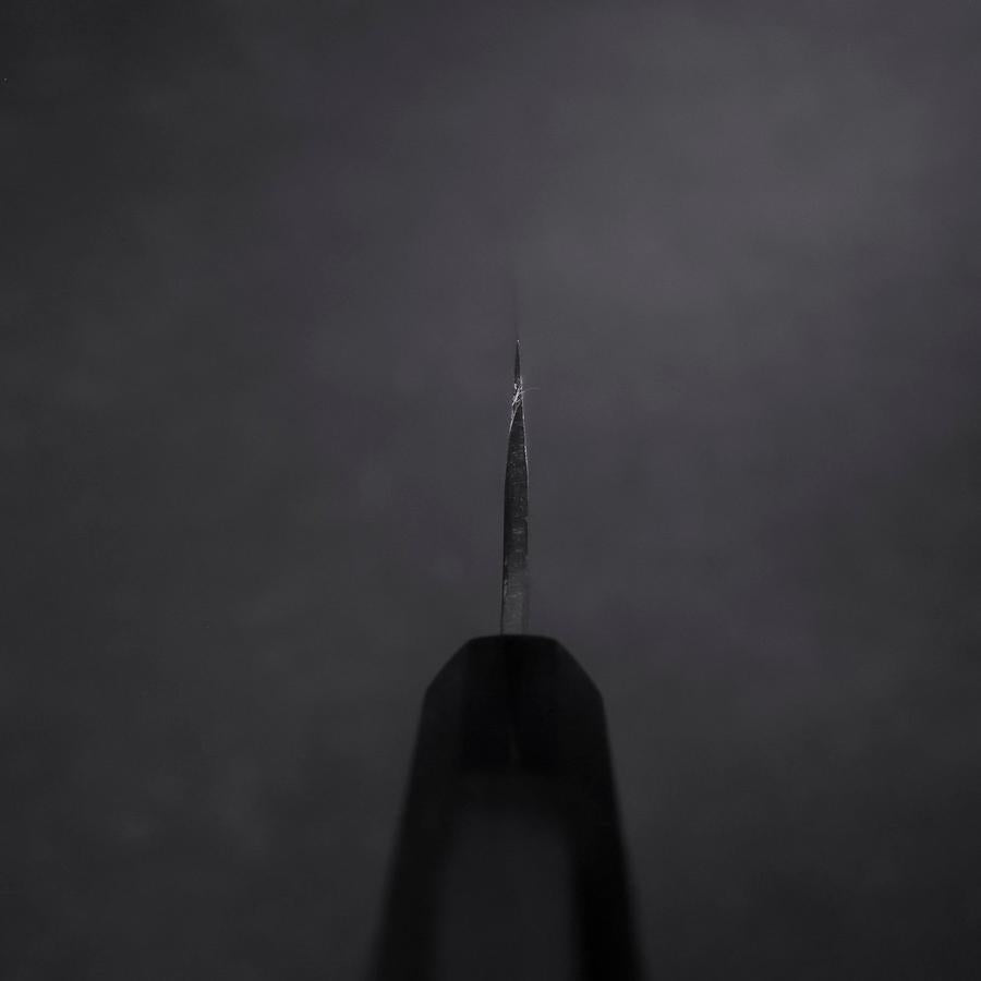 Gyuto Blue Steel #2 Chokin Kurouchi Dragon Buffalo Ebony Handle 240mm