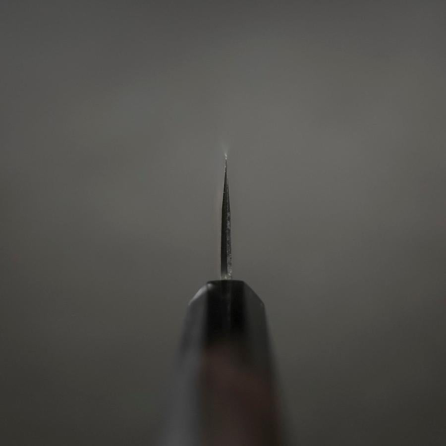 Gyuto Blue Steel #2 Chokin Kurouchi Sakura Fuji Buffalo Ebony Handle 210mm