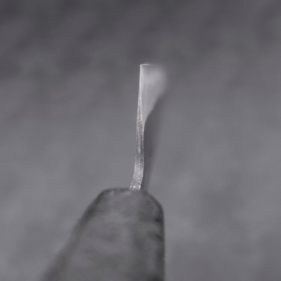 Gyuto Blue Steel #2 Kurouchi Black Ishime Urushi Handle 210M