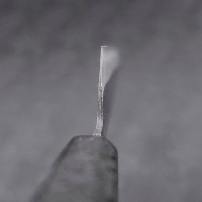 Gyuto Blue Steel #2 Kurouchi Black Ishime Urushi Handle 210M