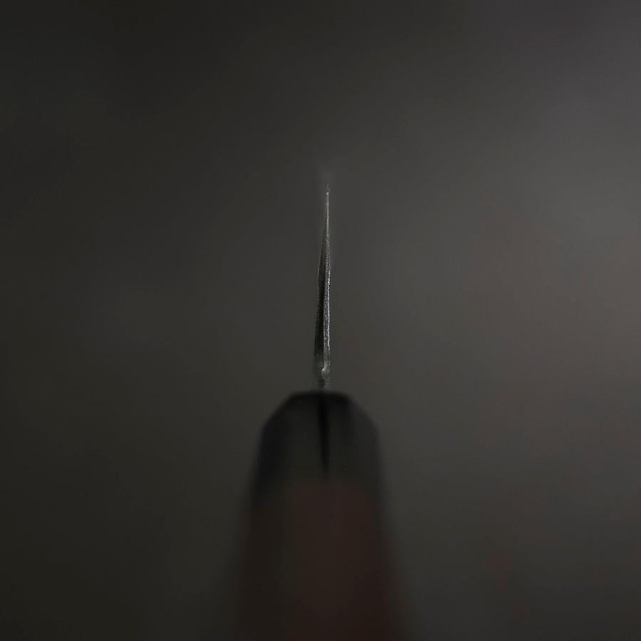 Gyuto Blue Steel #2 Kurouchi Buffalo Ebony Handle 210mm