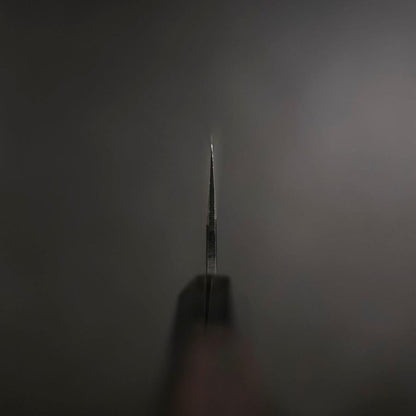 Gyuto Blue Steel #2 Kurouchi Chokin Dragon Buffalo Ebony Handle 210mm Store Limited