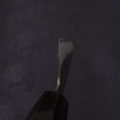 Gyuto Blue Steel #2 Kurouchi Chokin Snake-Sakura Buffalo Ebony Handle 210mm