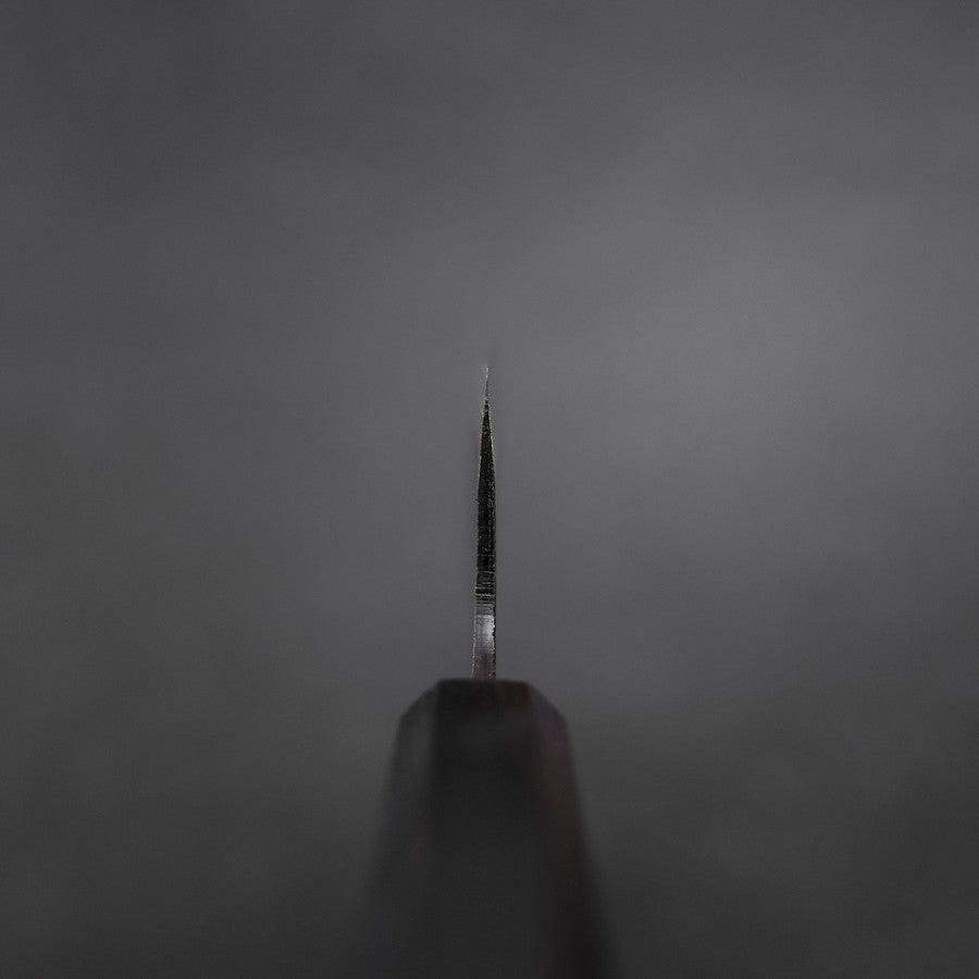 Gyuto Blue Steel #2 Kurouchi Ebony Handle 210mm