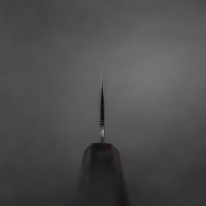 Gyuto Blue Steel #2 Kurouchi Ebony Handle 210mm