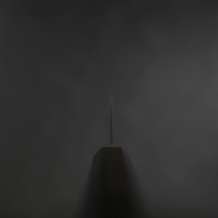 Gyuto SG-2 Black Nickel Damascus Ebony Handle 210mm