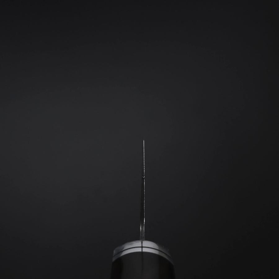 Gyuto SG-2 Black Nickel Damascus Western Ebony Handle 210mm