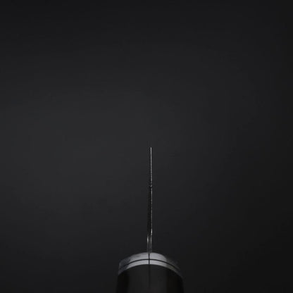 Gyuto SG-2 Black Nickel Damascus Western Ebony Handle 210mm