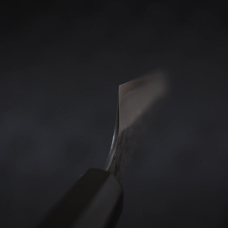 Gyuto SG-2 Kurouchi Tsuchime Buffalo Ebony Handle 210mm