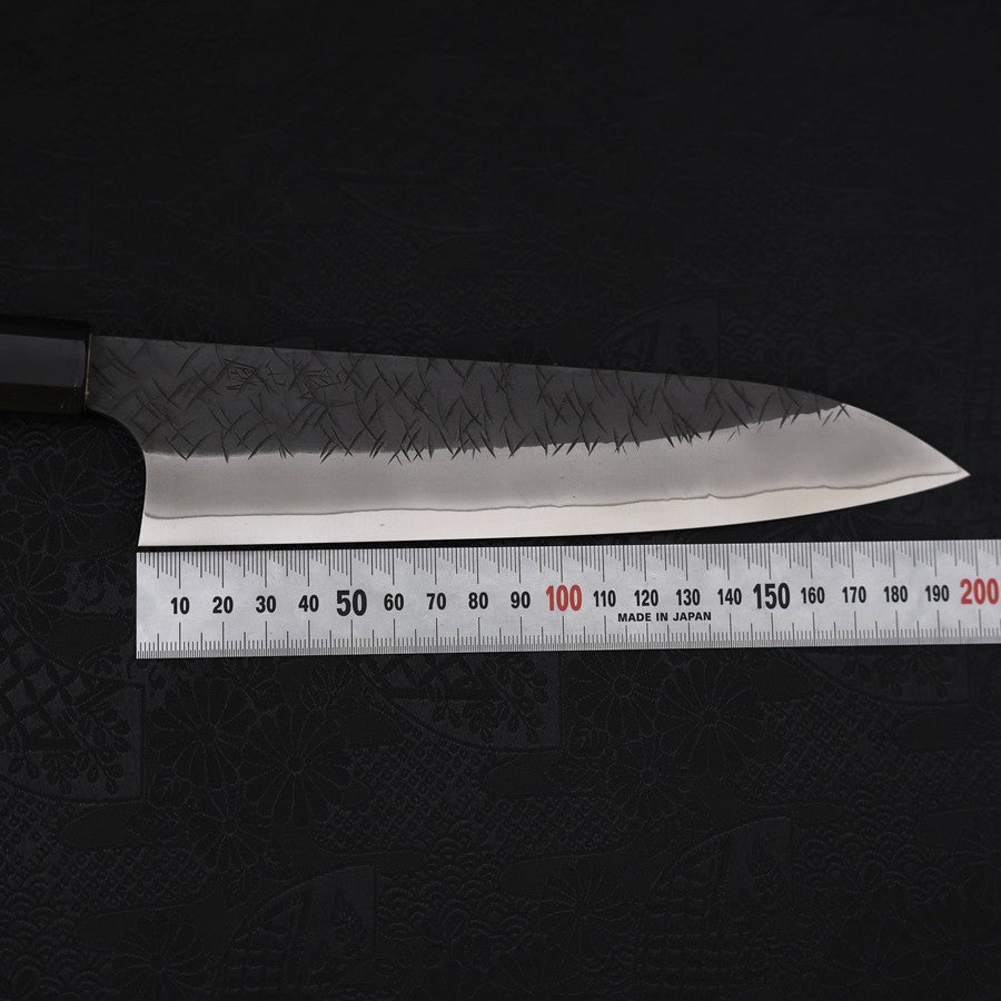 Gyuto SG-2 Kurouchi Tsuchime Buffalo Ebony Handle 210mm
