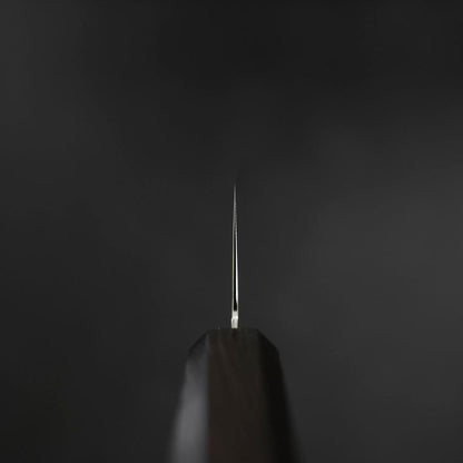 Gyuto SG-2 Nickel Damascus Ebony Handle 210mm