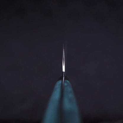 Gyuto SG-2 Tsuchime Turquoise Green Handle 240mm