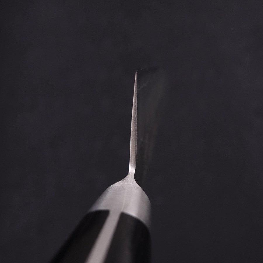 Gyuto Silver Steel #3 Nashiji Western Black Handle 210mm