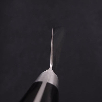 Gyuto Silver Steel #3 Nashiji Western Black Handle 210mm