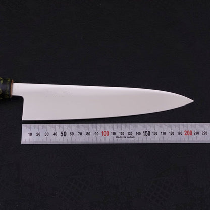 Gyuto VG-1 Polished Ceramics Dragon Handle 210mm