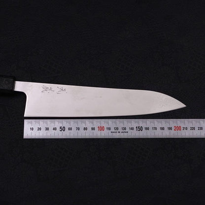 Gyuto VG-10 Damascus Black Ishime Urushi Handle 210mm