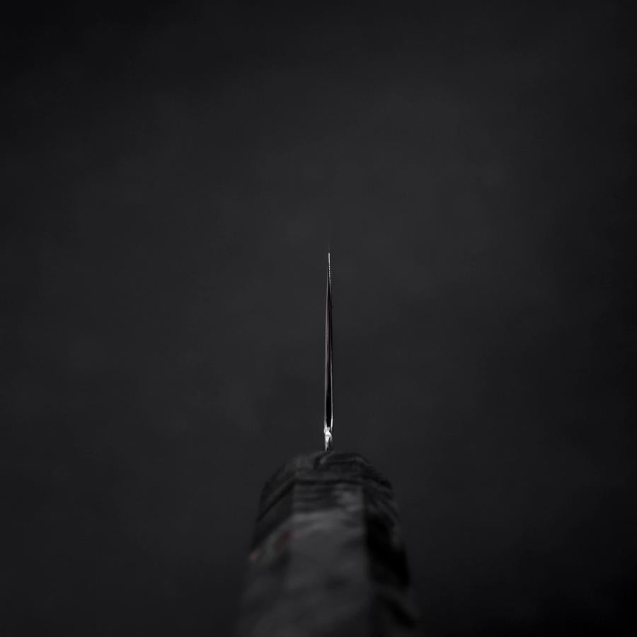 Gyuto VG-10 Damascus Gray Birch Handle 210mm