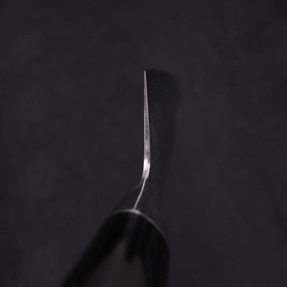 Gyuto VG-10 Damascus Western Round Handle 210mm