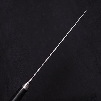 Gyuto VG-10 Damascus Western Round Handle 210mm