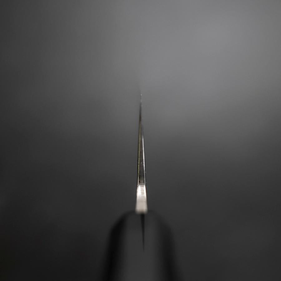 Gyuto VG-10 Nickel Damascus Buffalo Ebony Handle 210mm