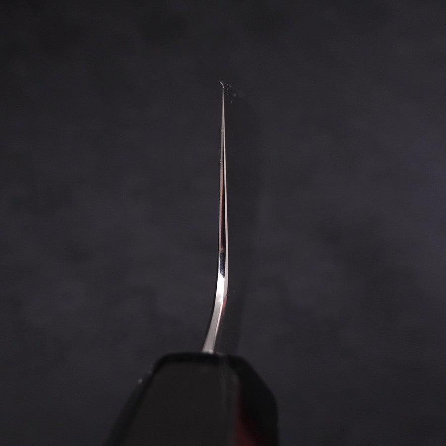 Gyuto VG-10 Polished Double Buffalo Ebony Handle 240mm