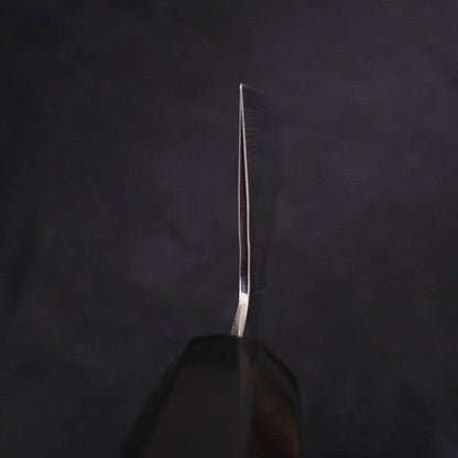 Gyuto VG-10 Tsuchime Damascus Buffalo Ebony Handle 210mm