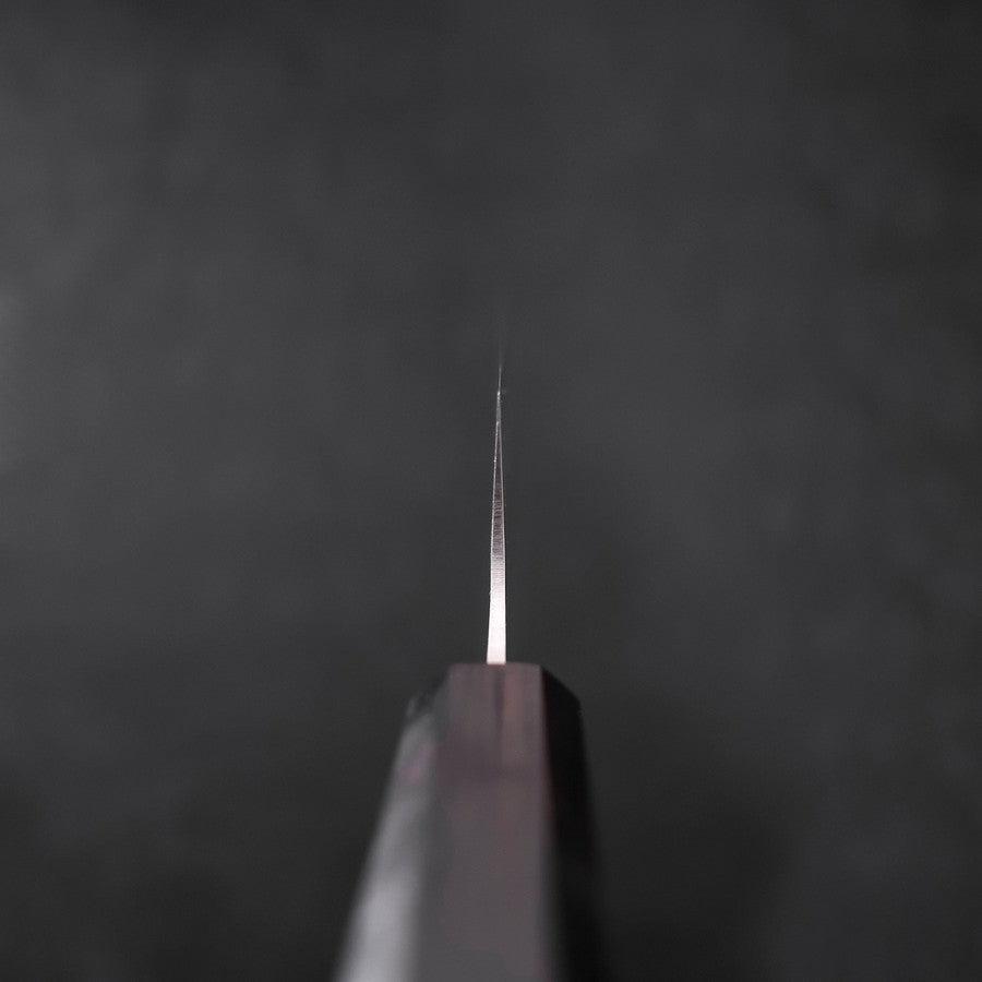 Gyuto VG-10 Tsuchime Ebony Handle 210mm