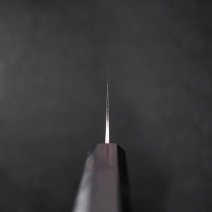 Gyuto VG-10 Tsuchime Ebony Handle 210mm