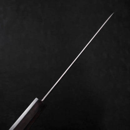 Gyuto VG-10 Tsuchime Ebony Handle 210mm