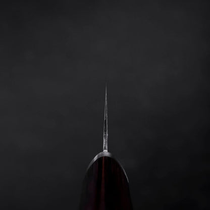 Gyuto VG-10 Tsuchime Oval Mahogany Handle 200mm