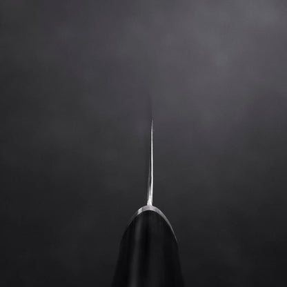 Gyuto VG-10 Tsuchime Oval Purple Handle 200mm