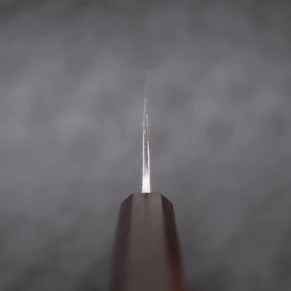 Gyuto White Steel #2 Kurouchi Stainless Clad Ebony Handle 210mm