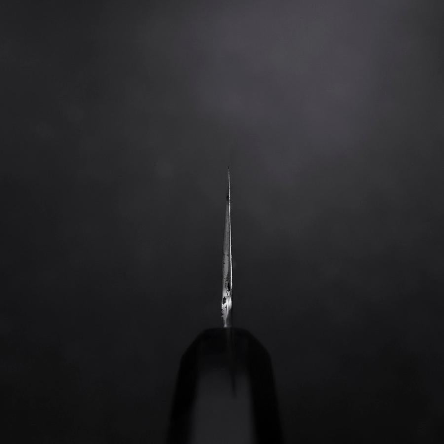 Gyuto White Steel #3 Mirror Honyaki Buffalo Ebony Handle