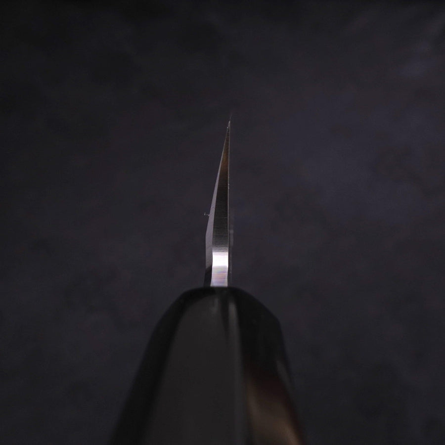 Kiritsuke Blue Steel #2 Kasumi Buffalo Magnolia Handle 240mm