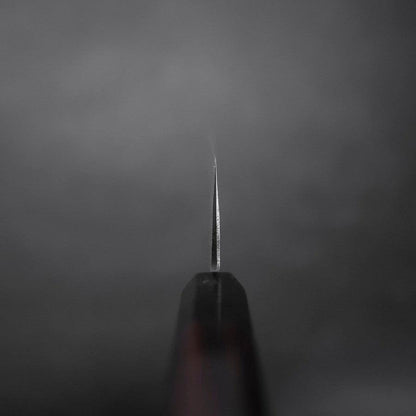 Kiritsuke Blue Steel #2 Kurouchi Buffalo Ebony Handle 210mm