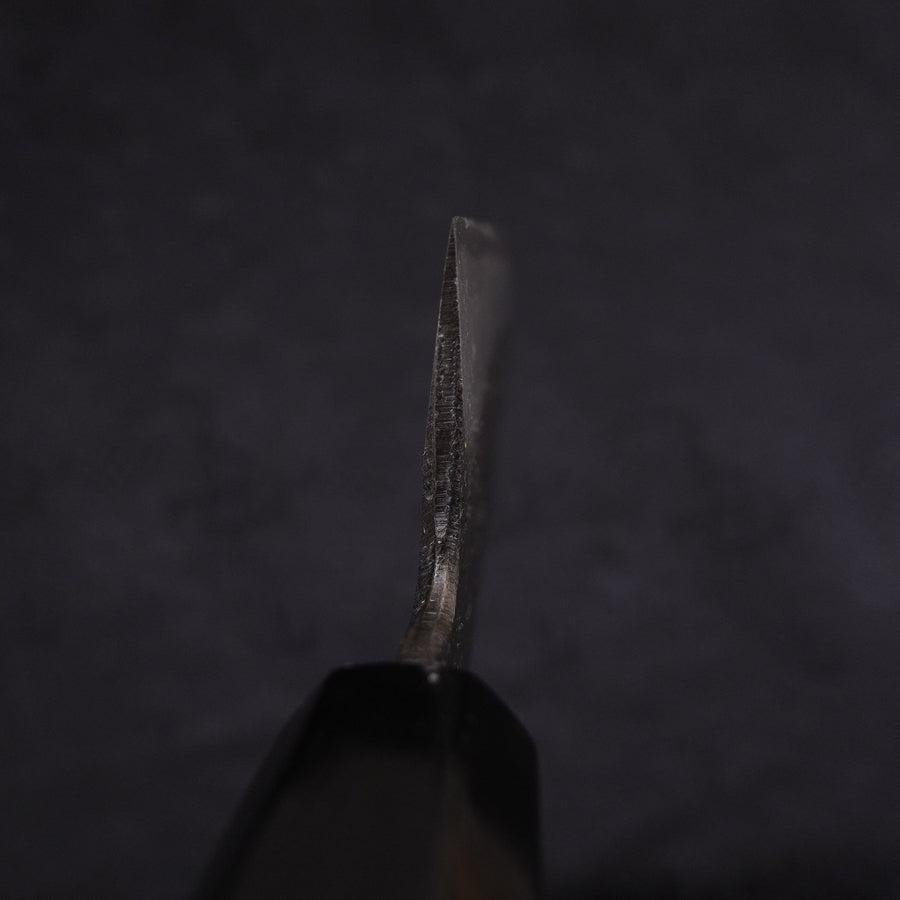 Kiritsuke Blue Steel #2 Kurouchi Chokin Dragon Buffalo Ebony Handle 210mm