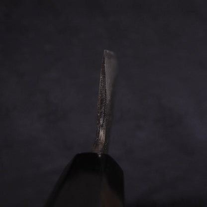 Kiritsuke Blue Steel #2 Kurouchi Chokin Dragon Buffalo Ebony Handle 210mm