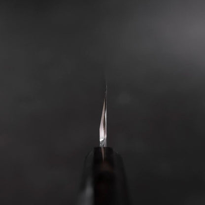 Kiritsuke Gyuto VG-10 Mirror Buffalo Ebony Handle 240mm