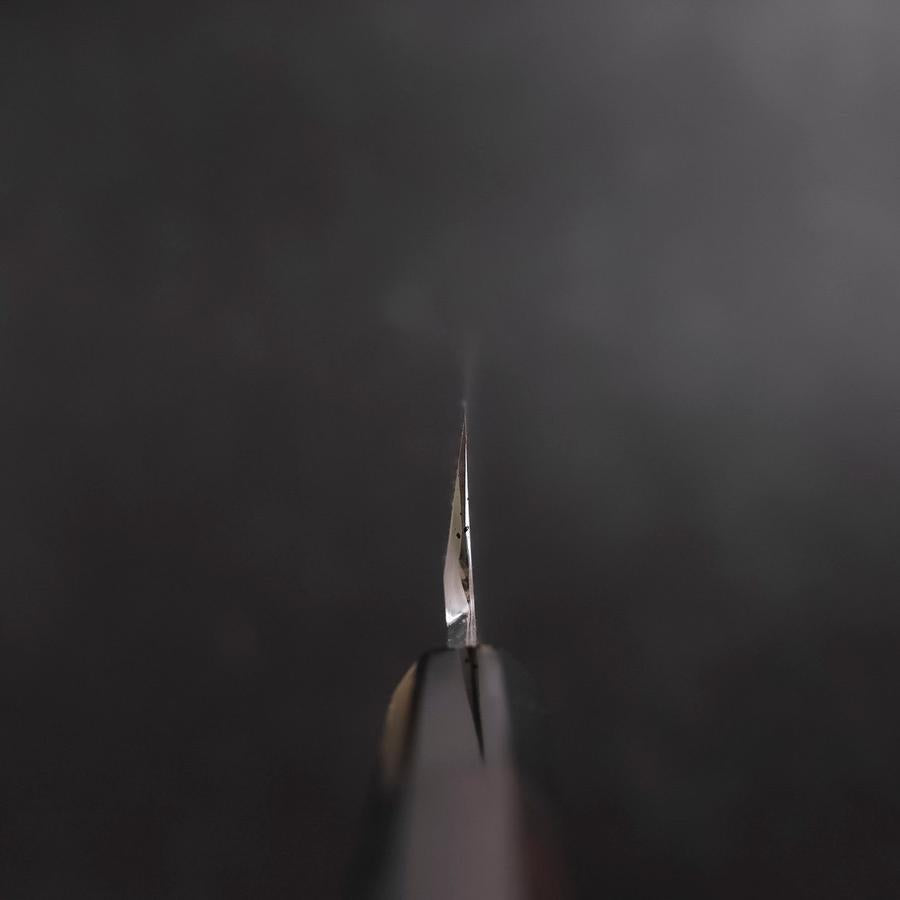 Kiritsuke Gyuto VG-10 Mirror Buffalo Ebony Handle 270mm