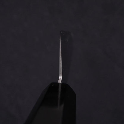 Kiritsuke Gyuto ZDP-189 Polished Buffalo Ebony Handle 210mm