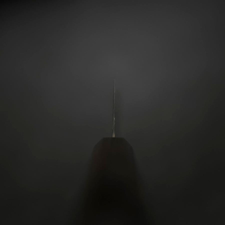 Kiritsuke SG-2 Black Nickel Damascus Ebony Handle 210mm