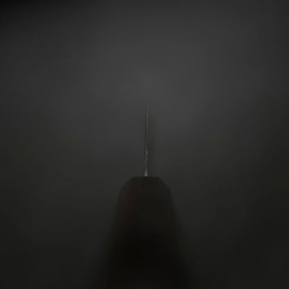 Kiritsuke SG-2 Black Nickel Damascus Ebony Handle 210mm