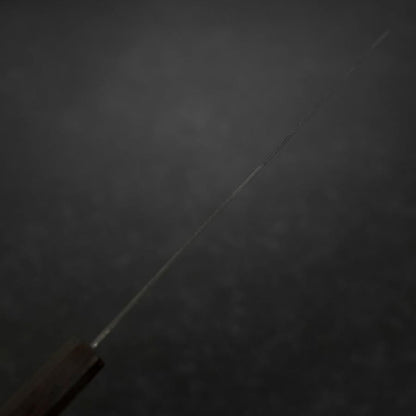 Kiritsuke SG-2 Black Nickel Damascus Ebony Handle 210mm